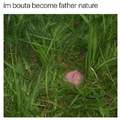 Father nature