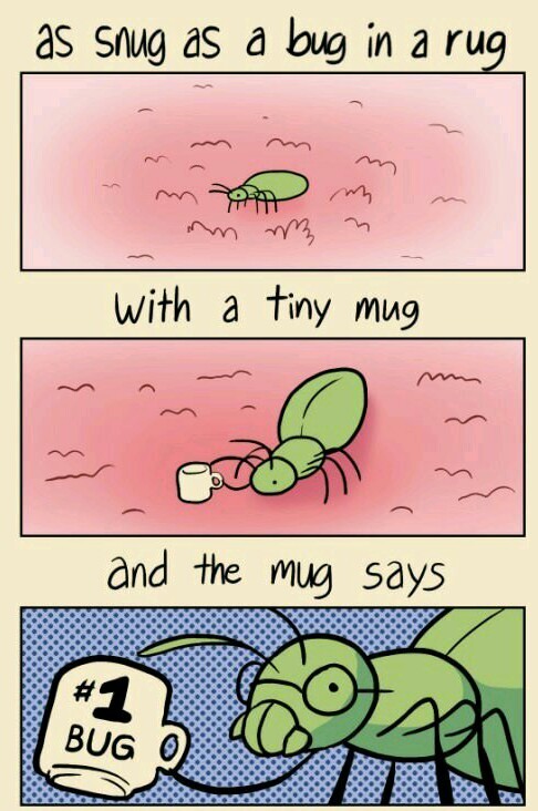 Snugg bug hugg thug fug - meme