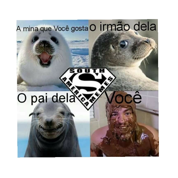 Foca - meme