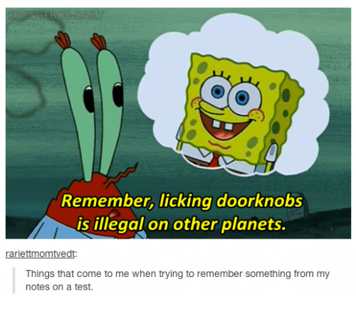 Licking Doorknobs - meme