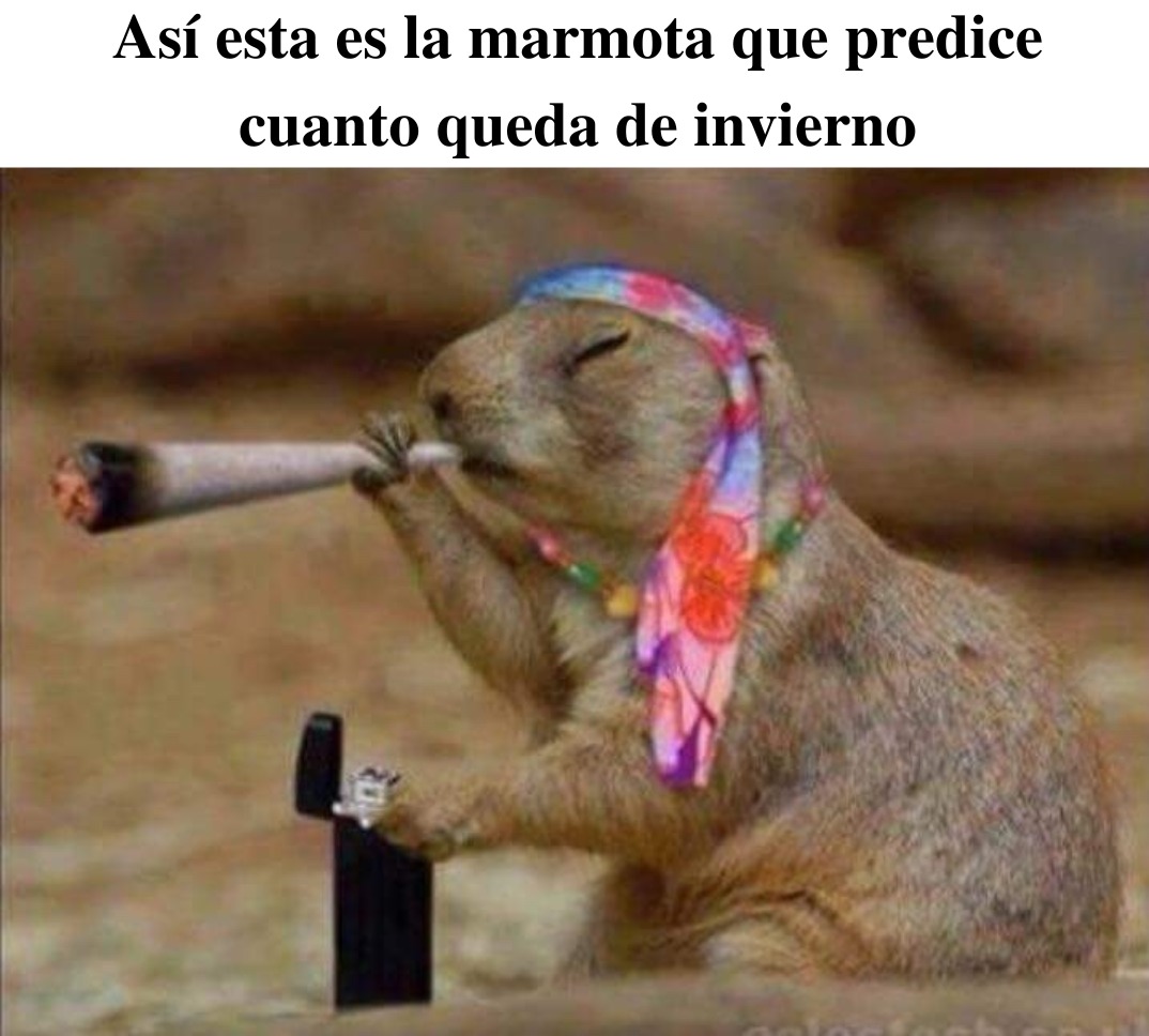 La marmota que predice cuando queda de invierno - meme