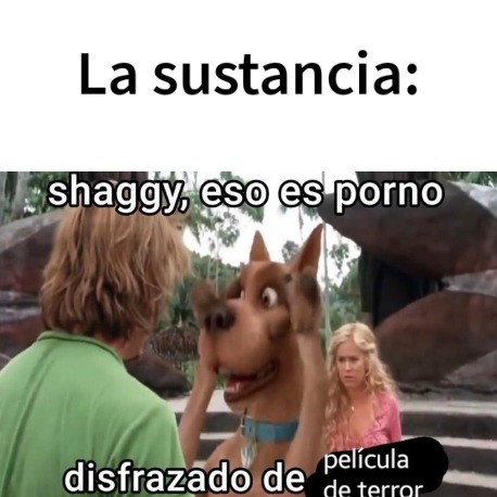 La sustancia en resumen: - meme