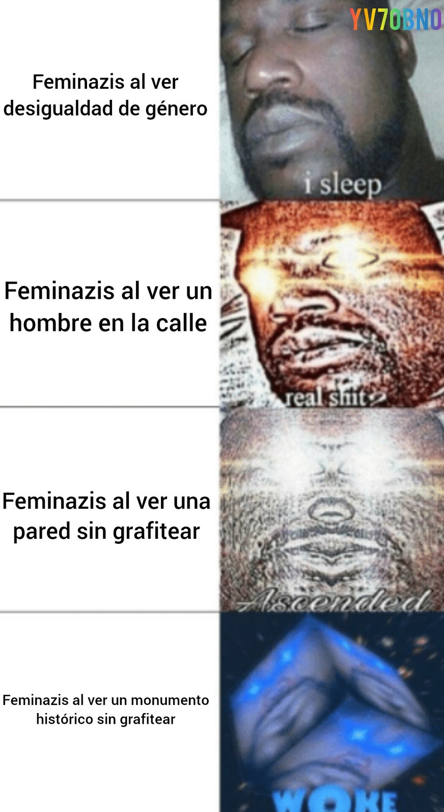 Mente de las feminazis - meme