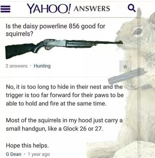 Even squirrels are more bad ass than me - meme