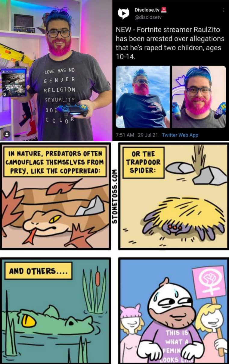LGBTQIAP+ P - meme