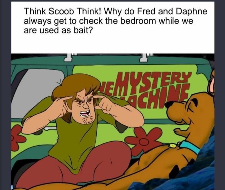 Would you do it for a Scooby snack? - meme