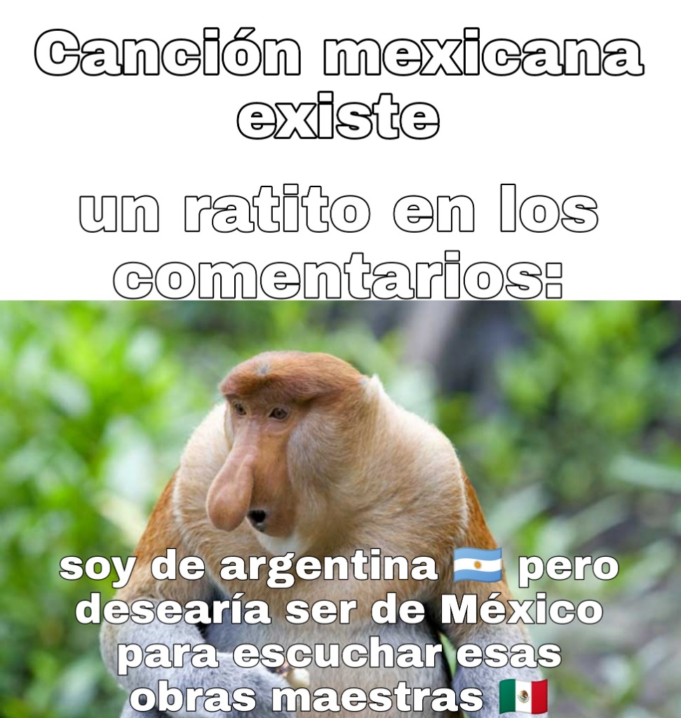 México macaco - meme
