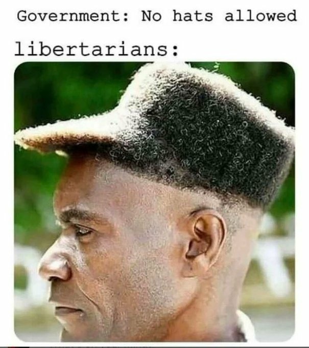 Libertarians - meme