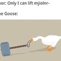 Stronk goose