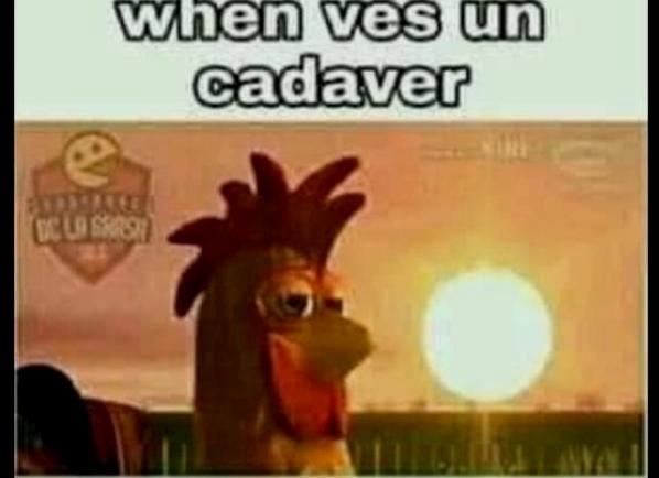 When - meme