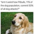dongs in a statistic
