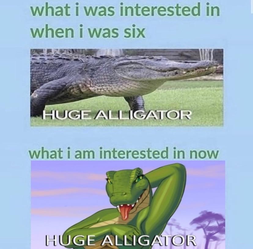 Huge gators - meme