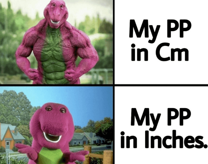 Big PP - meme