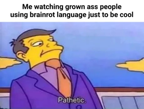 Adults using brainrot language - meme