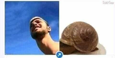 Caracol - meme