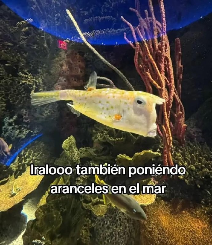 También quiere ponerle aranceles al mar - meme
