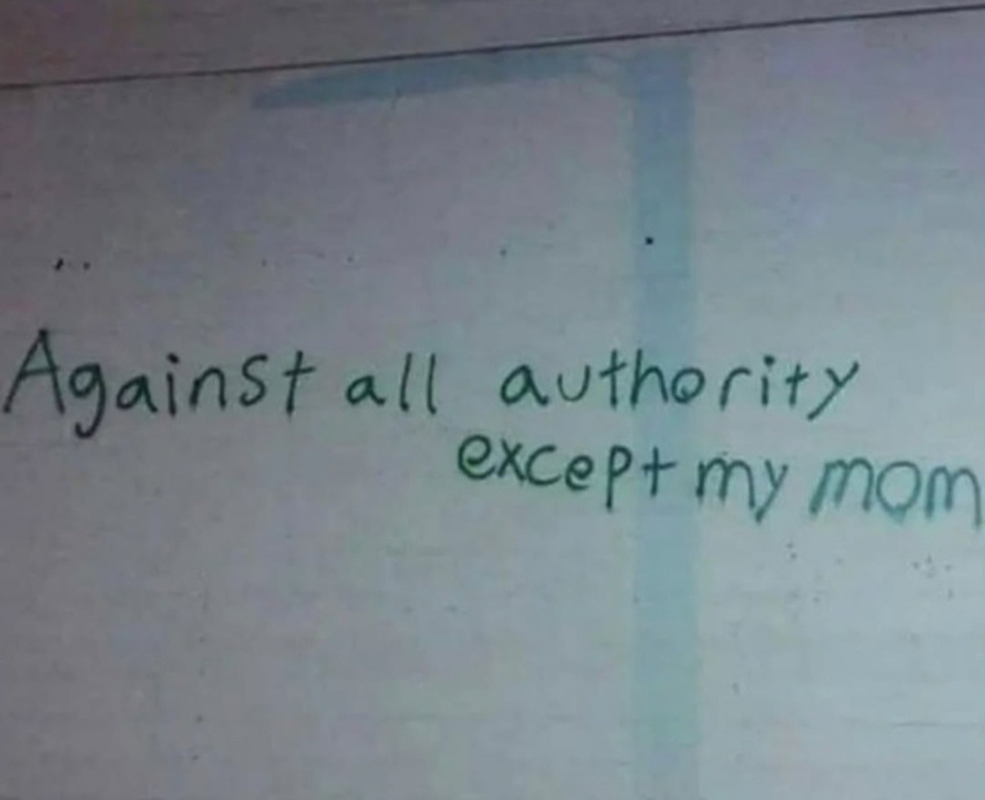 All authority is fake unless it’s mom - meme