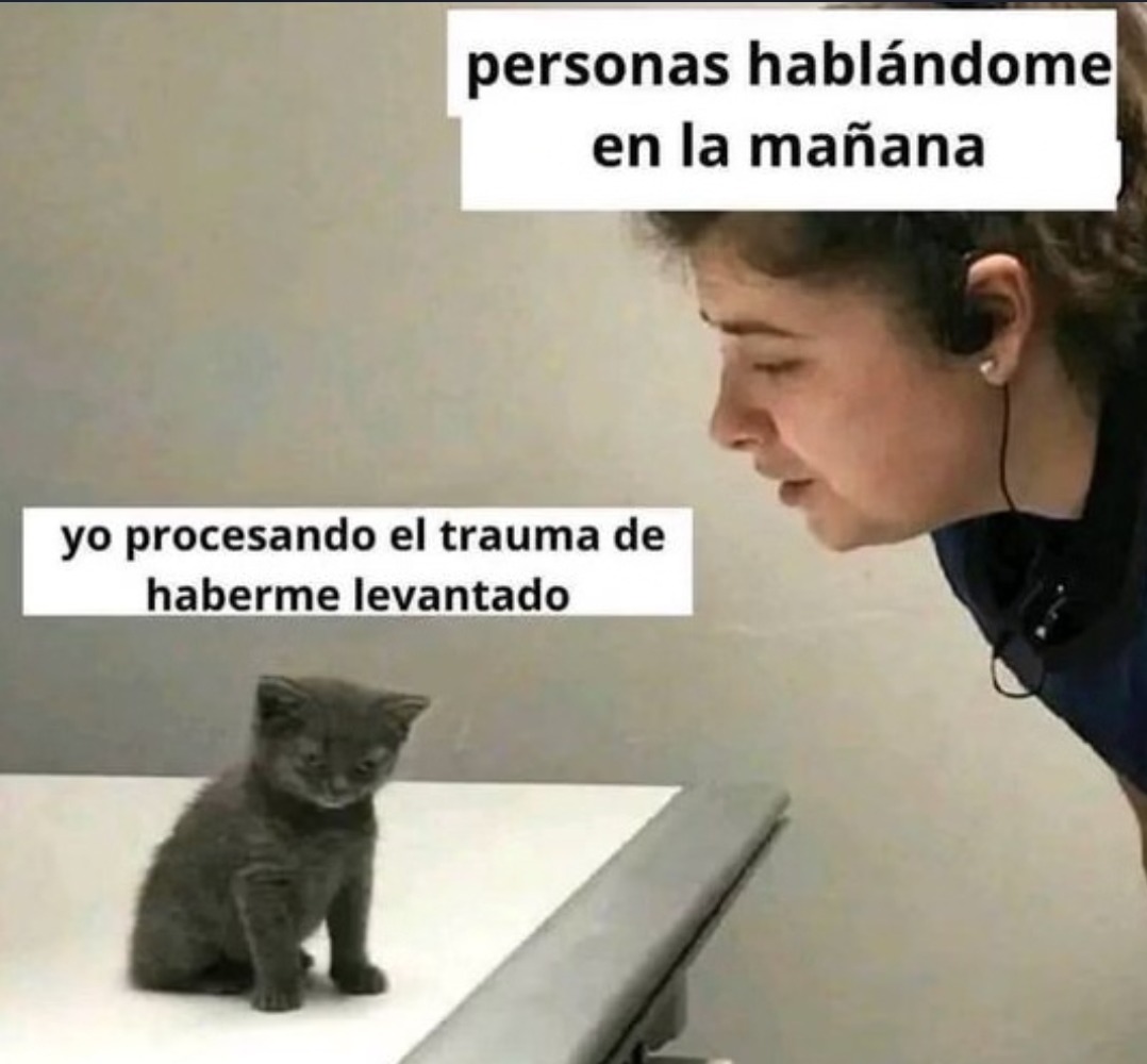 Despertar - meme