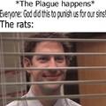 Or it was the rats.