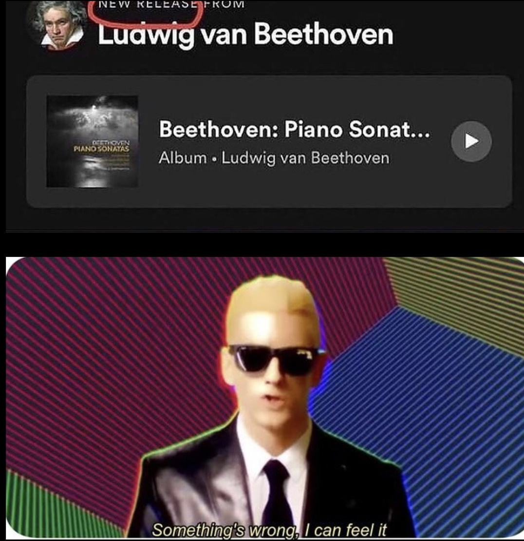 Beethoven why - meme