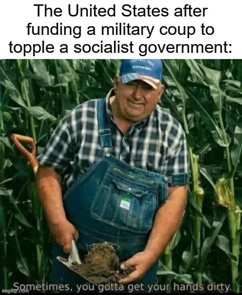Socialism works, just gets oofed by the US. - meme