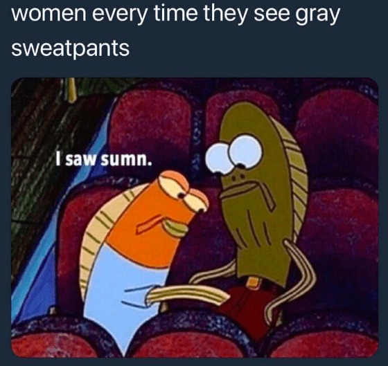 Boys it's gray sweatpants season - meme