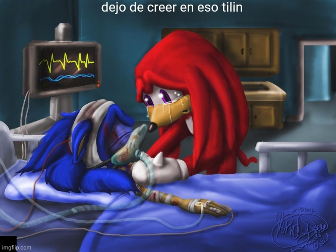 Sonic :/ - meme