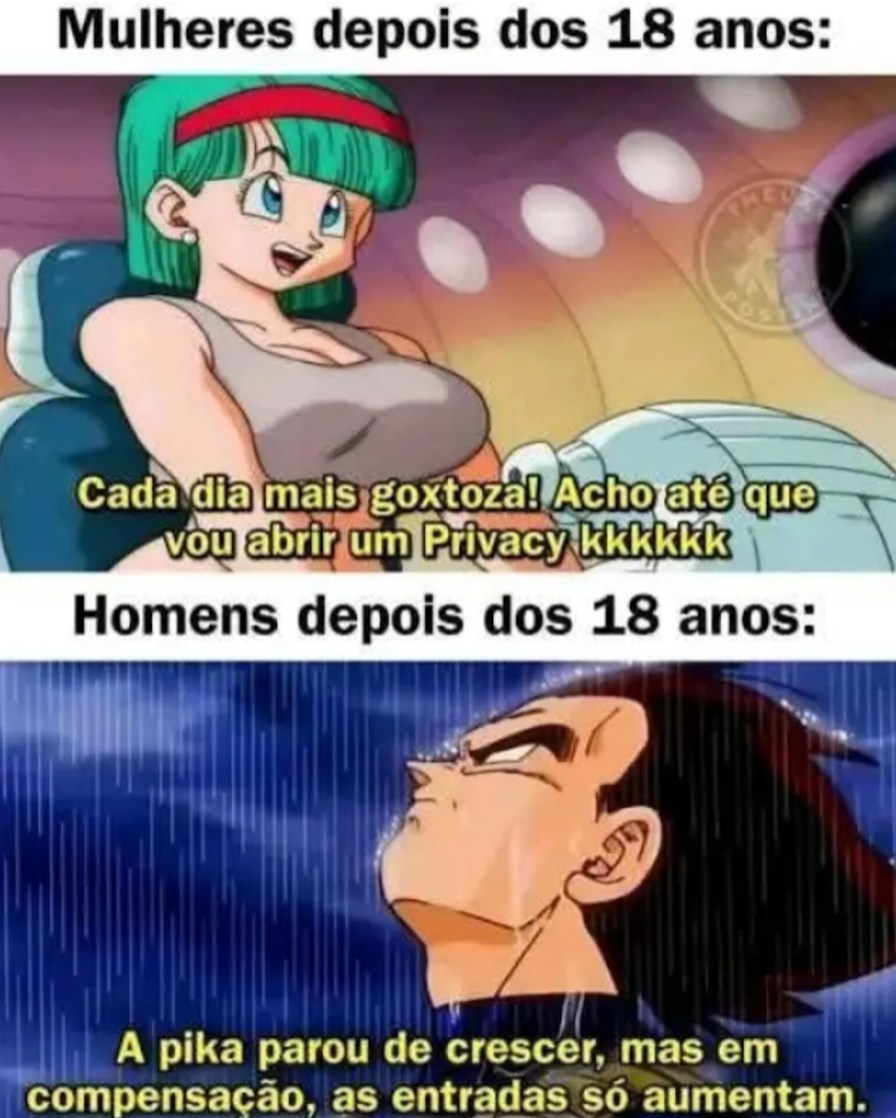 Bulma X Vegeta - meme