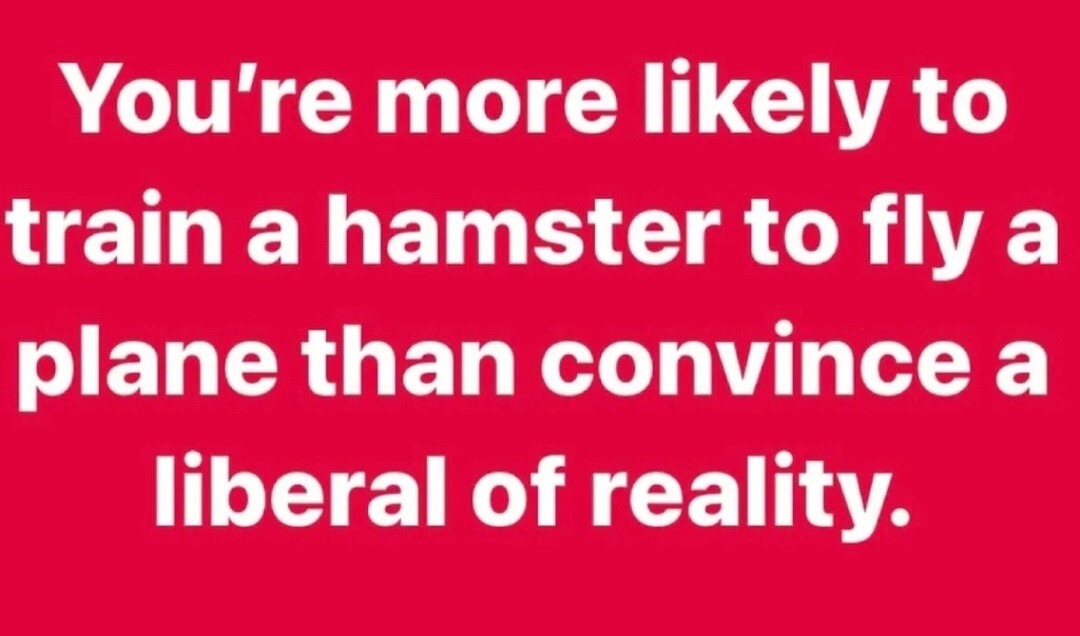Training hamsters to fly planes sounds more realistic tbh - meme