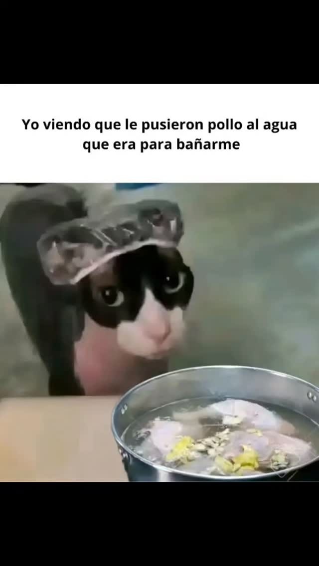 Yo viendo que le echaron consomé de pollo al agua del baño - meme