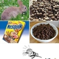Nesquik=rabbit poop