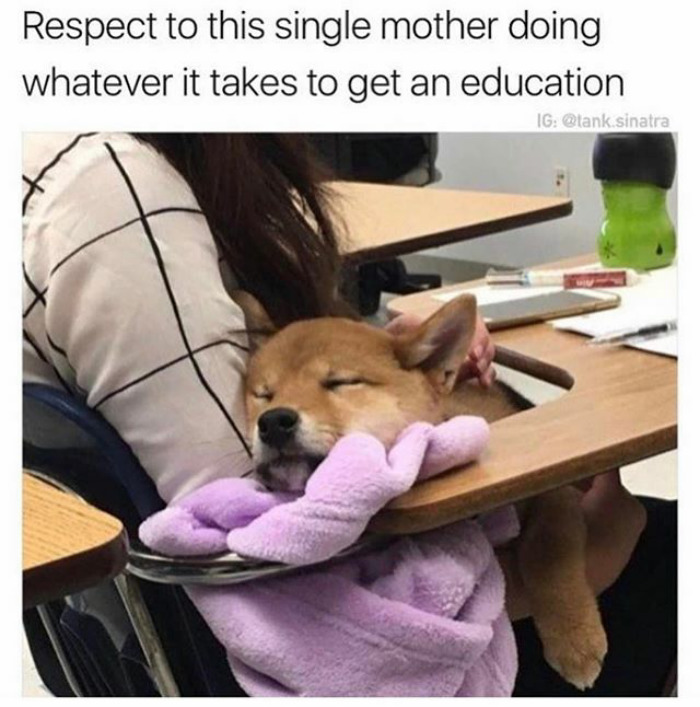 The snuggle Meme by DragonxBlue ) Memedroid