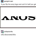 anus