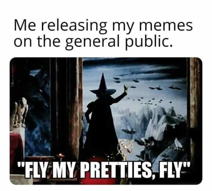 Fly! - meme