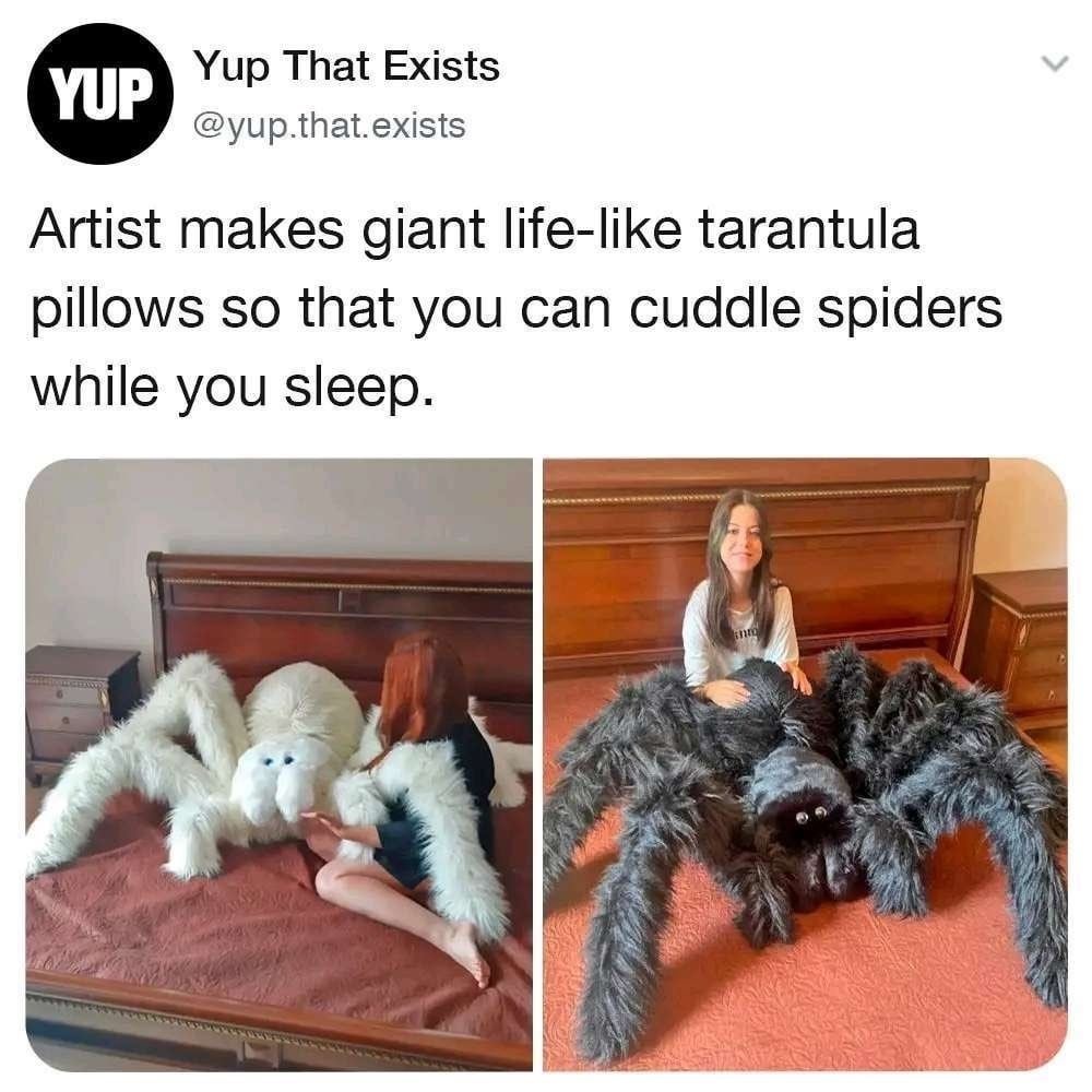 Wholesome pillow spiders - meme