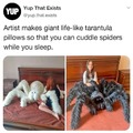 Wholesome pillow spiders