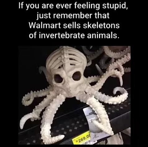 This just takes stupid to a WHOLE NEW LEVEL! For those who don't know, octopuses don't have bones AT ALL - meme