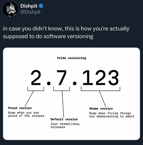 this is how you're supposed to do software versioning - meme