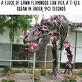 Rawww Flamingo!!