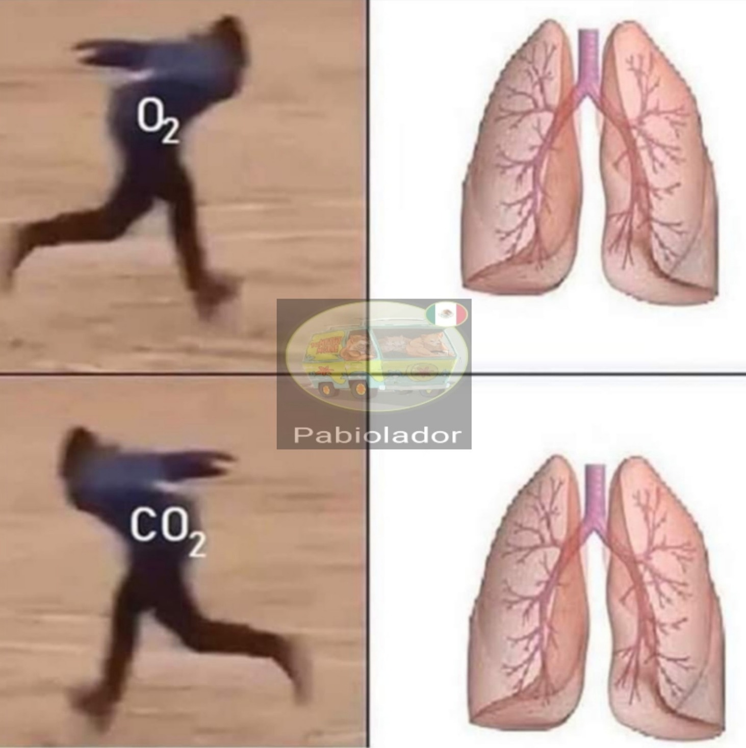 Inhalación - meme