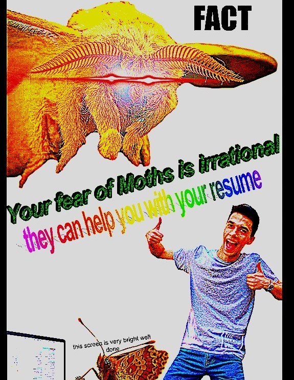Moth - meme