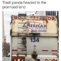 Trash panda is going on an adventure to the promise lands