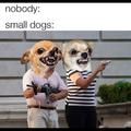 small dawgs