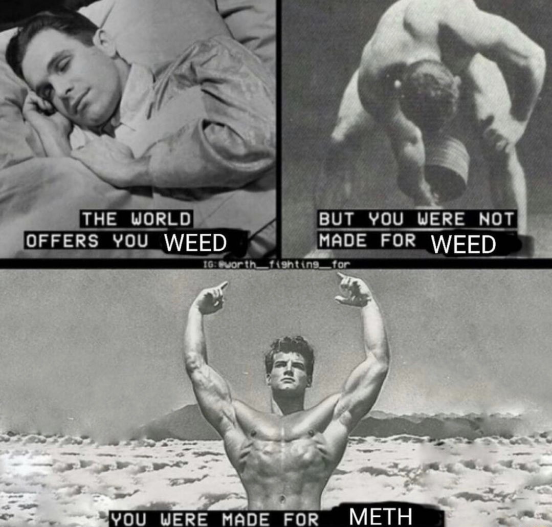 you want some meth? - meme