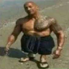 r/shitposting, Dwayne The Rock Johnson