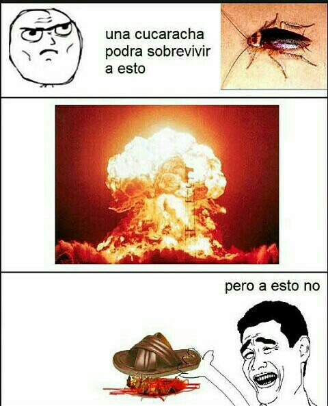 Sigueme y te sigo cumplo - meme