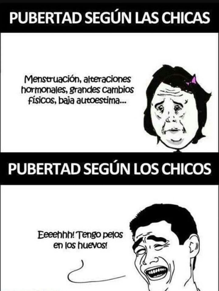 XD - meme