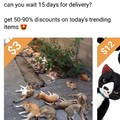 What the fuck is for sale? 50 cats!?!