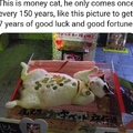 pussy fortune