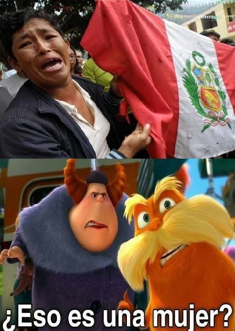 Olvidemos la bandera Peruana pero parece un albañil - meme